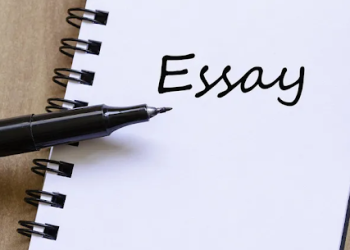 an essay writer