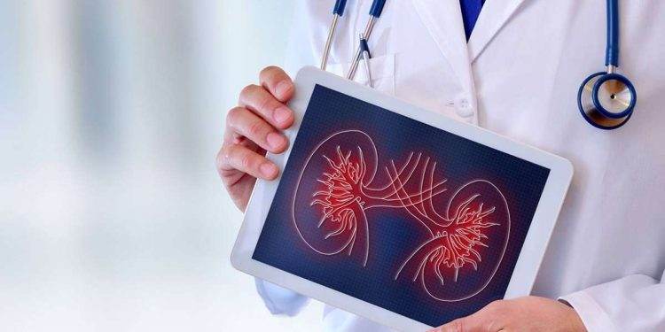 What are the Signs & Symptoms of Kidney Cancers?