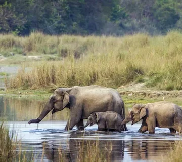 How to Create Wildlife Habitats with the Family